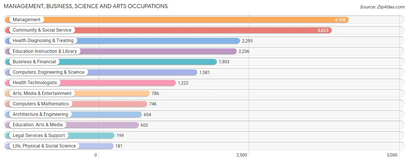 Management, Business, Science and Arts Occupations in Zip Code 91342