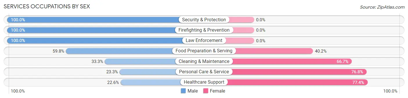 Services Occupations by Sex in Zip Code 91411