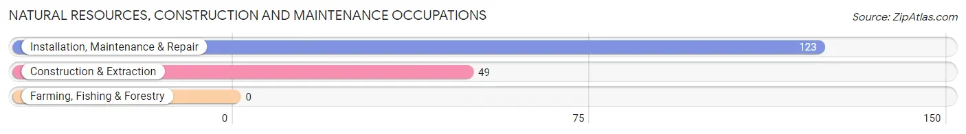 Natural Resources, Construction and Maintenance Occupations in Zip Code 91502