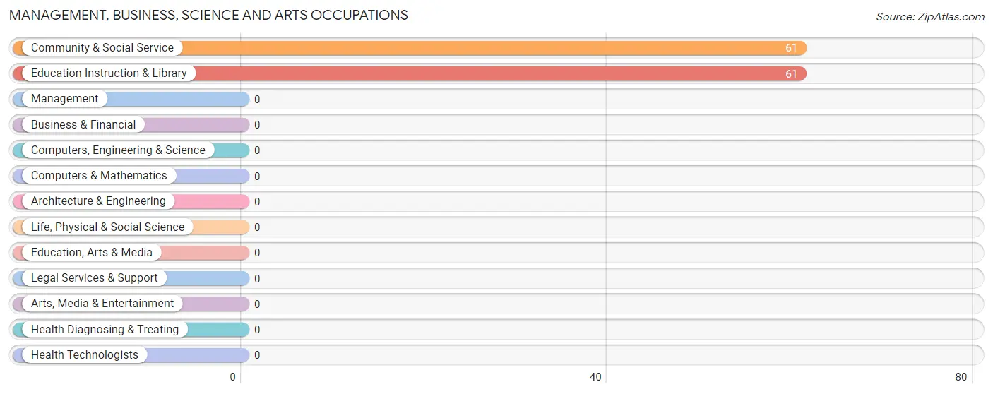 Management, Business, Science and Arts Occupations in Zip Code 91963