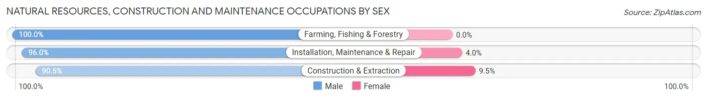 Natural Resources, Construction and Maintenance Occupations by Sex in Zip Code 92010