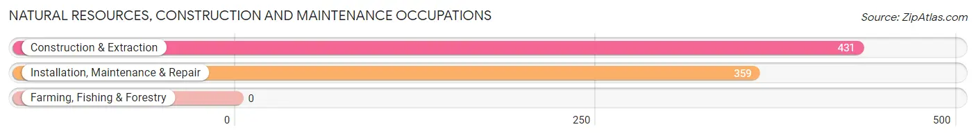 Natural Resources, Construction and Maintenance Occupations in Zip Code 92109