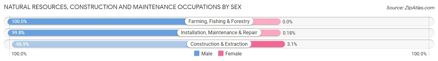 Natural Resources, Construction and Maintenance Occupations by Sex in Zip Code 92113