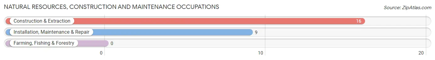 Natural Resources, Construction and Maintenance Occupations in Zip Code 92278