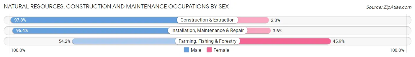Natural Resources, Construction and Maintenance Occupations by Sex in Zip Code 92376