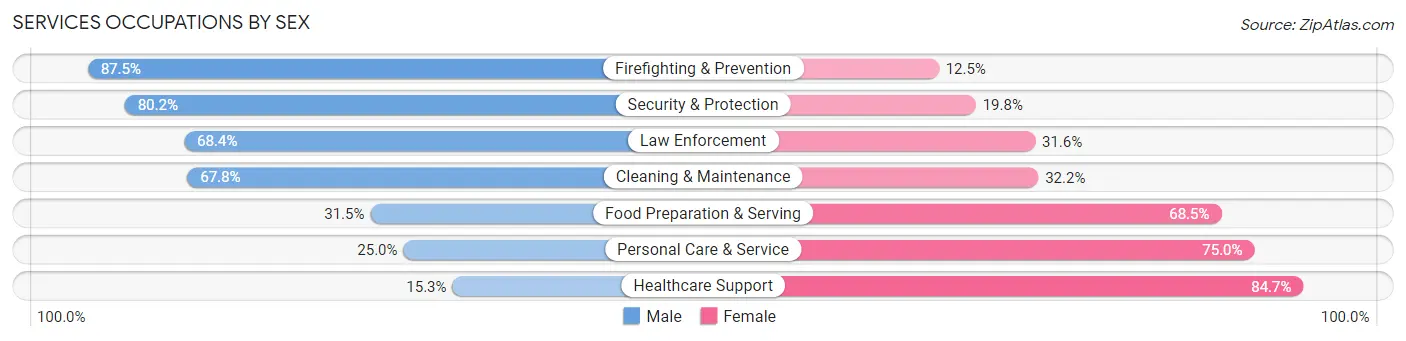 Services Occupations by Sex in Zip Code 93060