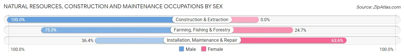 Natural Resources, Construction and Maintenance Occupations by Sex in Zip Code 93201