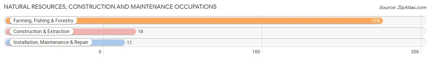 Natural Resources, Construction and Maintenance Occupations in Zip Code 93201