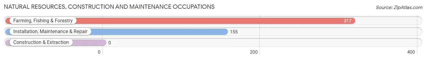 Natural Resources, Construction and Maintenance Occupations in Zip Code 93239