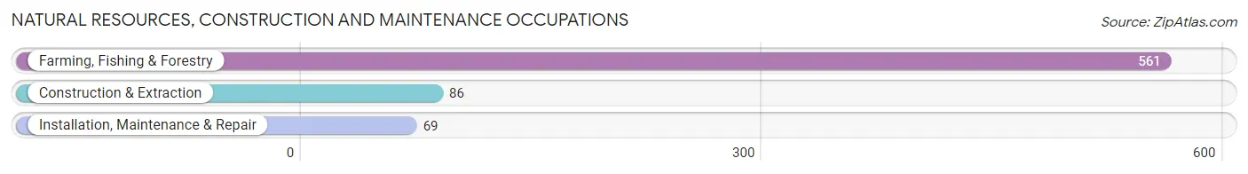 Natural Resources, Construction and Maintenance Occupations in Zip Code 93256