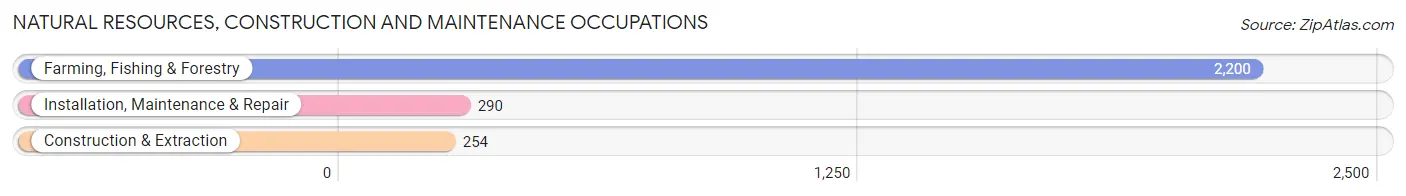 Natural Resources, Construction and Maintenance Occupations in Zip Code 93280