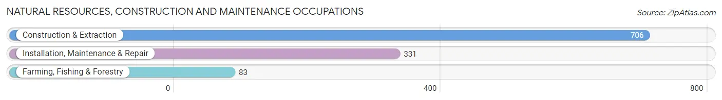 Natural Resources, Construction and Maintenance Occupations in Zip Code 93314