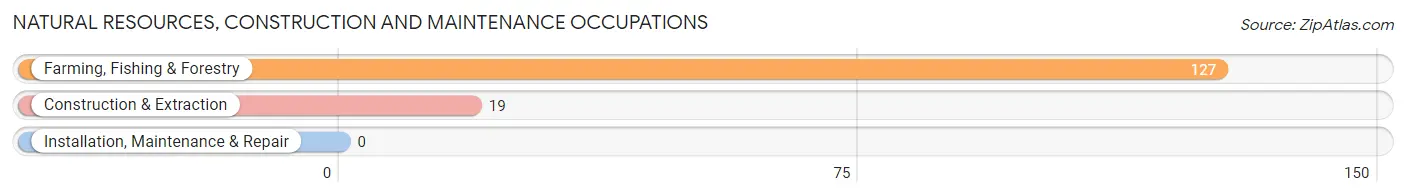 Natural Resources, Construction and Maintenance Occupations in Zip Code 93668