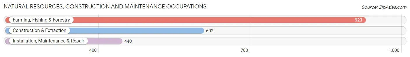 Natural Resources, Construction and Maintenance Occupations in Zip Code 93907