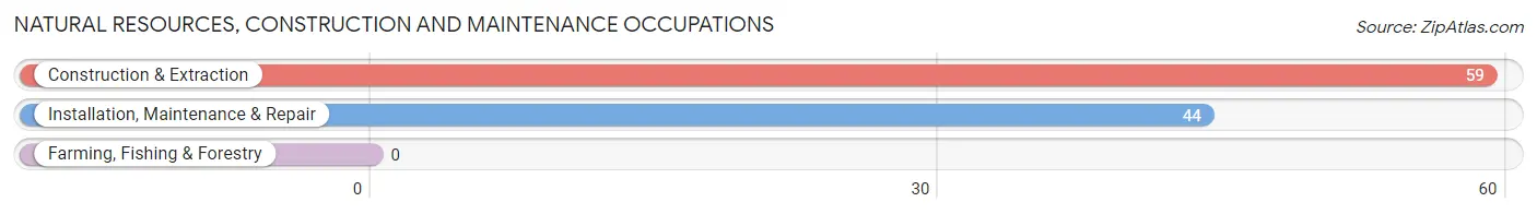 Natural Resources, Construction and Maintenance Occupations in Zip Code 94022