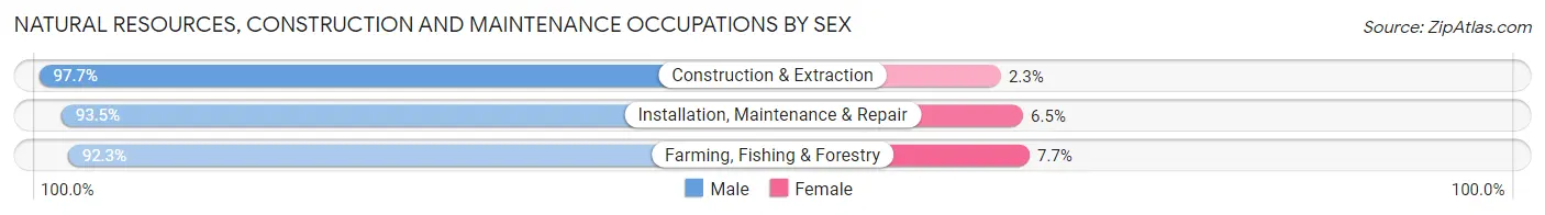 Natural Resources, Construction and Maintenance Occupations by Sex in Zip Code 94513