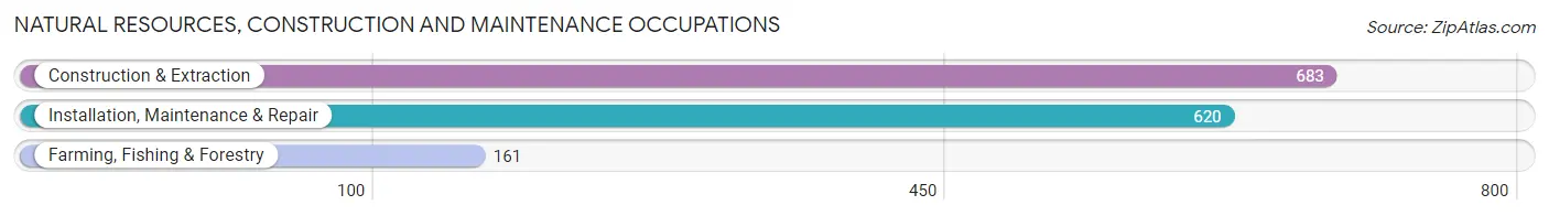 Natural Resources, Construction and Maintenance Occupations in Zip Code 94534