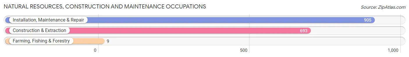 Natural Resources, Construction and Maintenance Occupations in Zip Code 94536