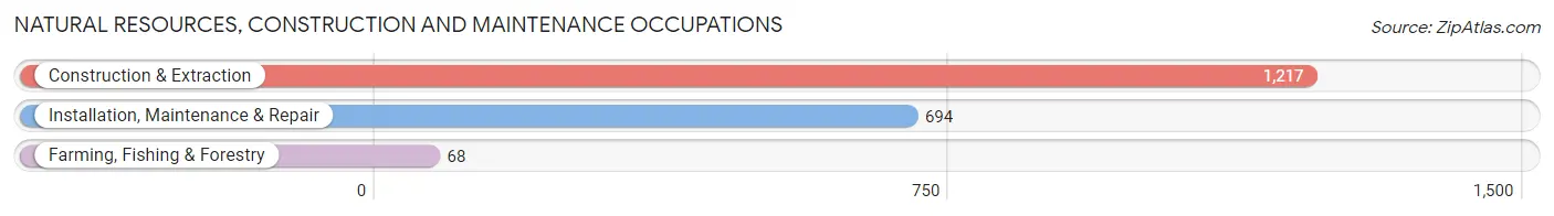 Natural Resources, Construction and Maintenance Occupations in Zip Code 94560