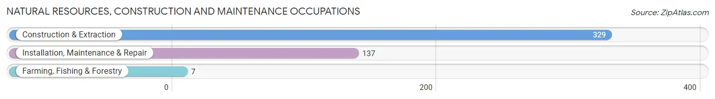 Natural Resources, Construction and Maintenance Occupations in Zip Code 94602