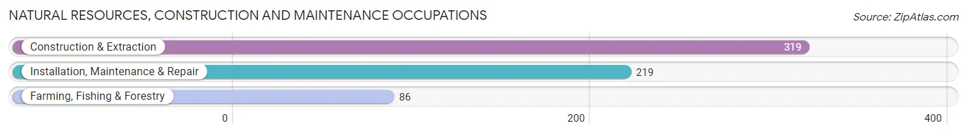 Natural Resources, Construction and Maintenance Occupations in Zip Code 94607