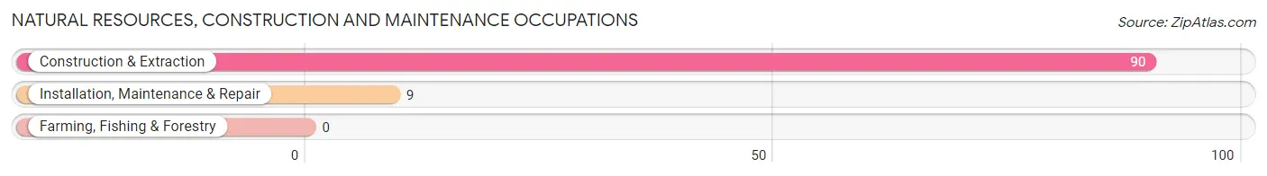 Natural Resources, Construction and Maintenance Occupations in Zip Code 94904