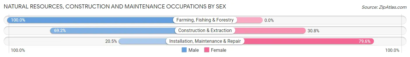 Natural Resources, Construction and Maintenance Occupations by Sex in Zip Code 94965