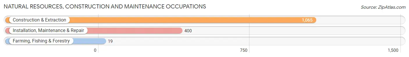 Natural Resources, Construction and Maintenance Occupations in Zip Code 95008