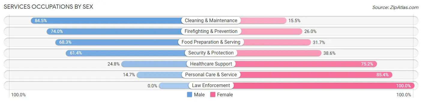 Services Occupations by Sex in Zip Code 95054