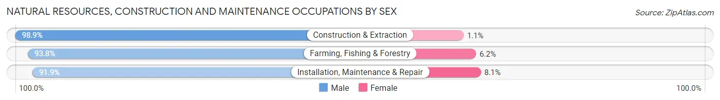 Natural Resources, Construction and Maintenance Occupations by Sex in Zip Code 95125