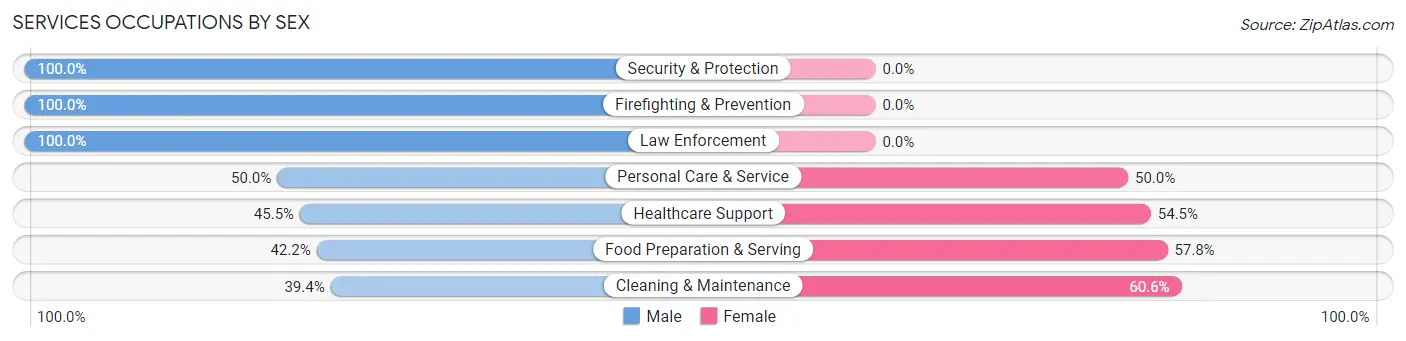 Services Occupations by Sex in Zip Code 95130
