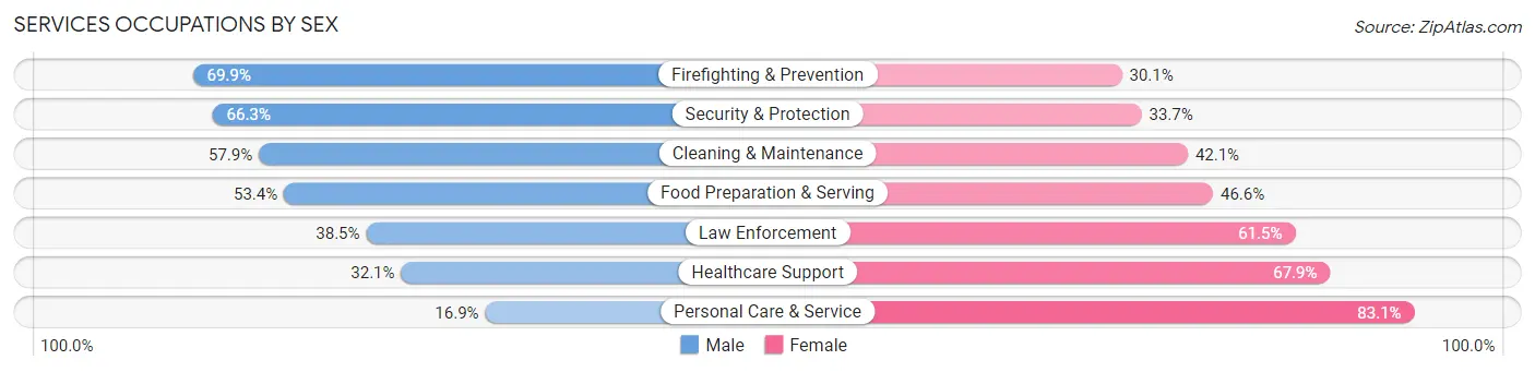 Services Occupations by Sex in Zip Code 95132