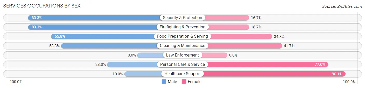Services Occupations by Sex in Zip Code 95135