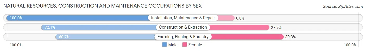 Natural Resources, Construction and Maintenance Occupations by Sex in Zip Code 95202