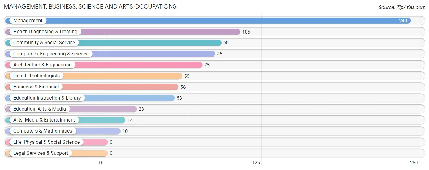 Management, Business, Science and Arts Occupations in Zip Code 95228