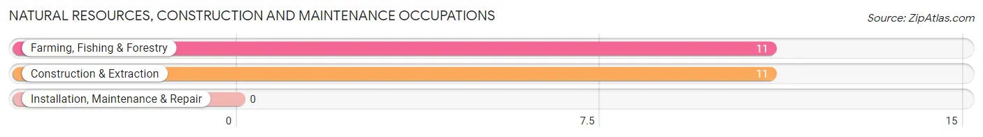 Natural Resources, Construction and Maintenance Occupations in Zip Code 95246