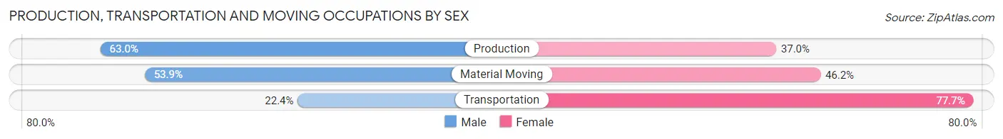 Production, Transportation and Moving Occupations by Sex in Zip Code 95310