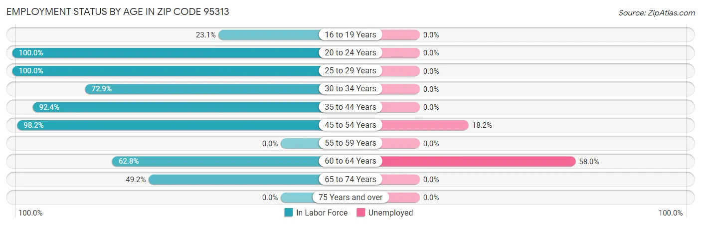 Employment Status by Age in Zip Code 95313