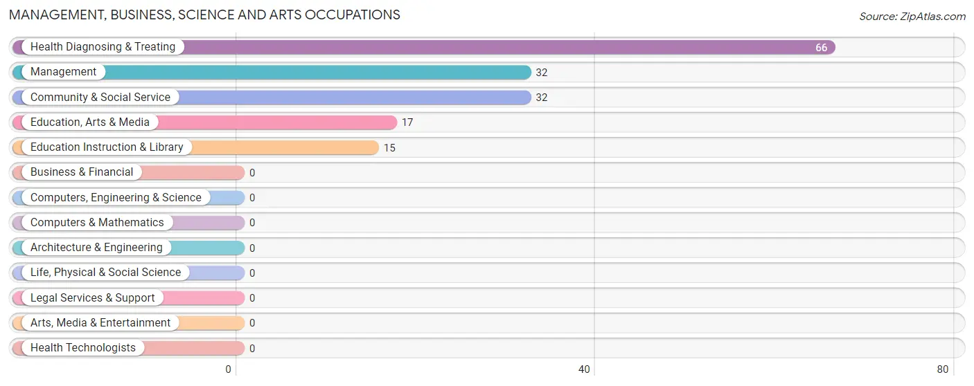 Management, Business, Science and Arts Occupations in Zip Code 95328