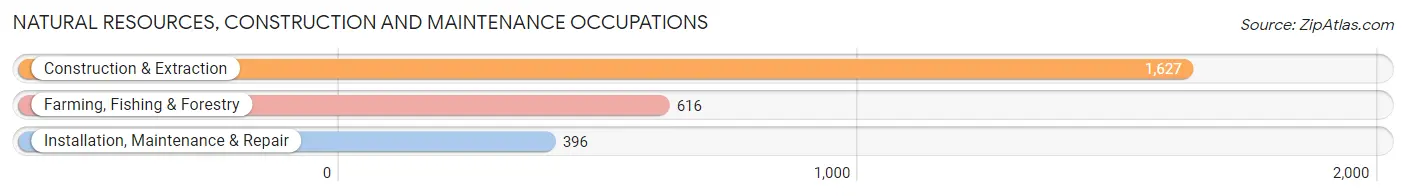 Natural Resources, Construction and Maintenance Occupations in Zip Code 95363