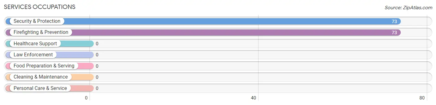 Services Occupations in Zip Code 95420