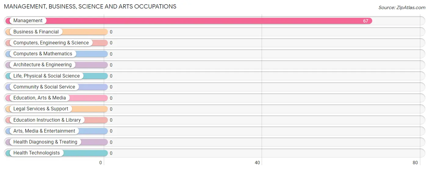 Management, Business, Science and Arts Occupations in Zip Code 95435