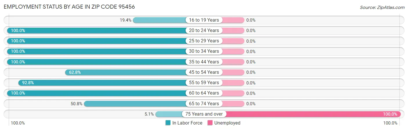 Employment Status by Age in Zip Code 95456