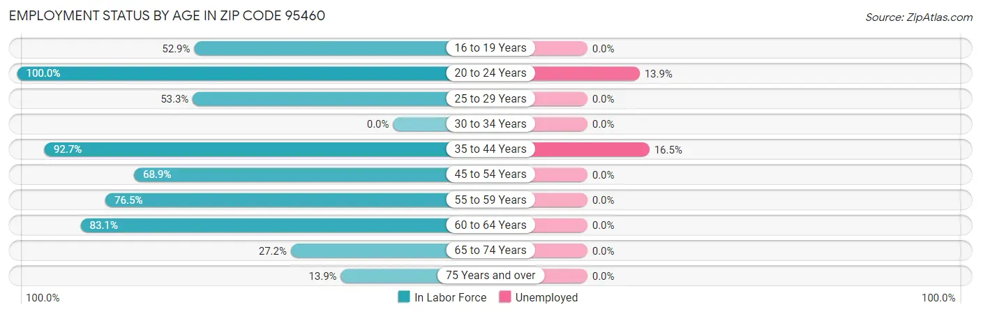 Employment Status by Age in Zip Code 95460