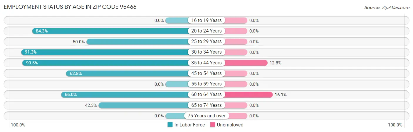 Employment Status by Age in Zip Code 95466