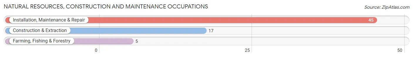 Natural Resources, Construction and Maintenance Occupations in Zip Code 95469