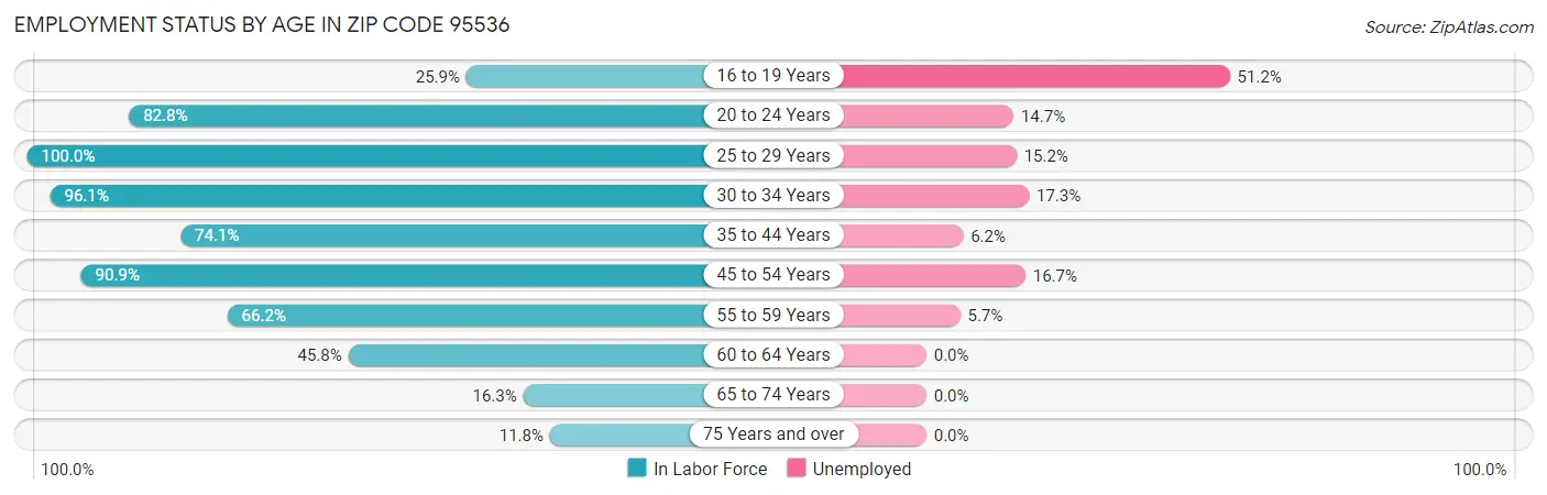Employment Status by Age in Zip Code 95536