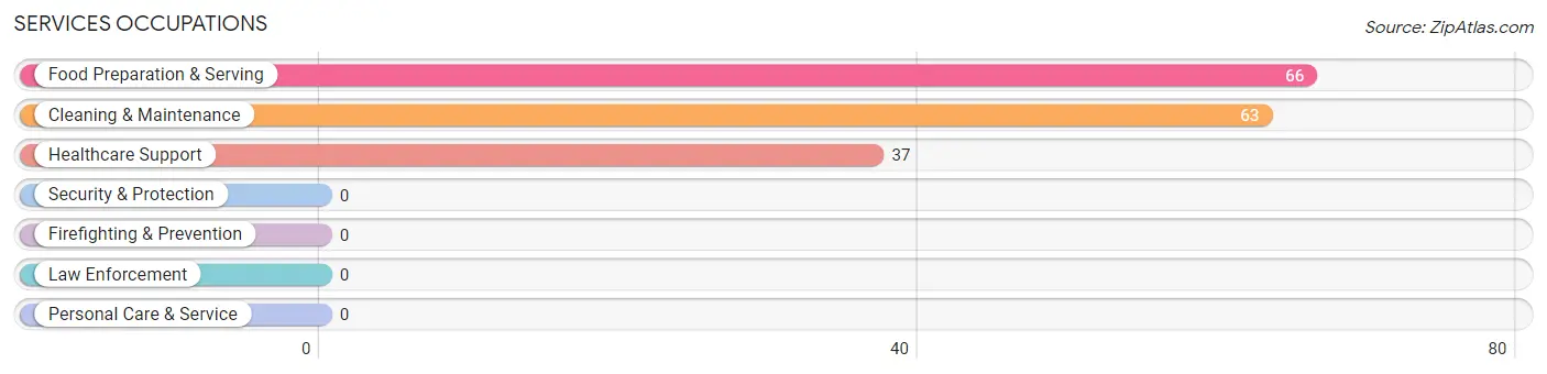 Services Occupations in Zip Code 95553