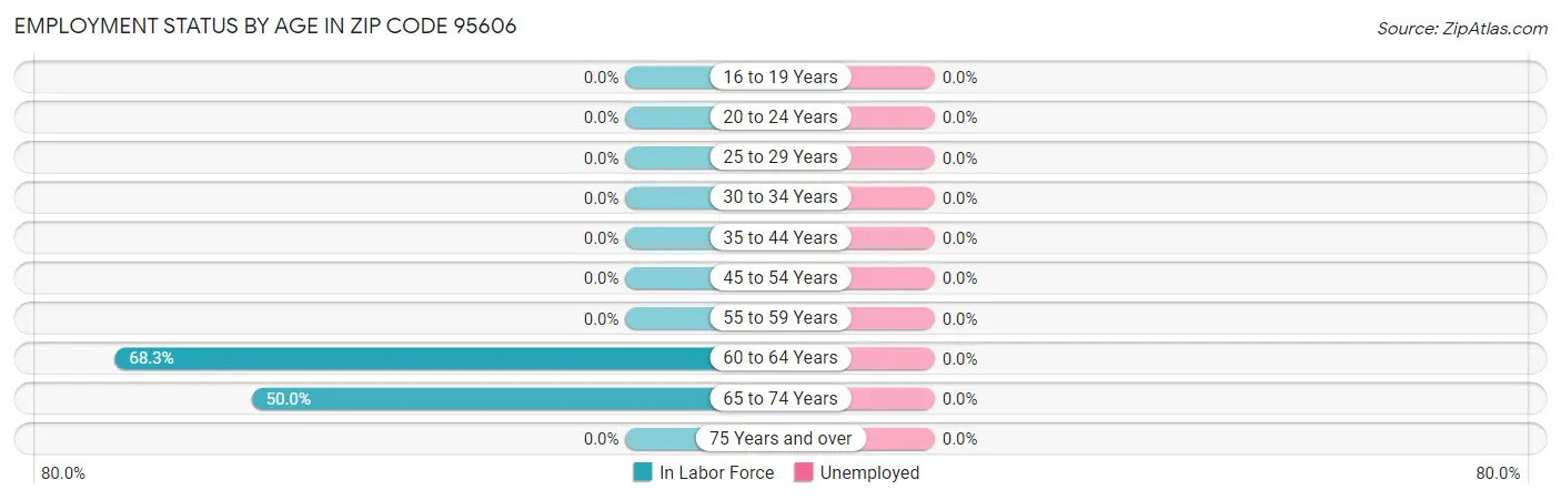 Employment Status by Age in Zip Code 95606