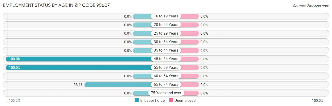 Employment Status by Age in Zip Code 95607